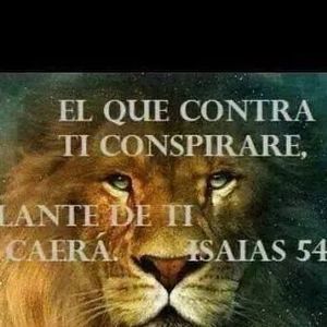 Meet your Posher, Idarilis